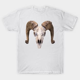 Isolated Ram Skull T-Shirt